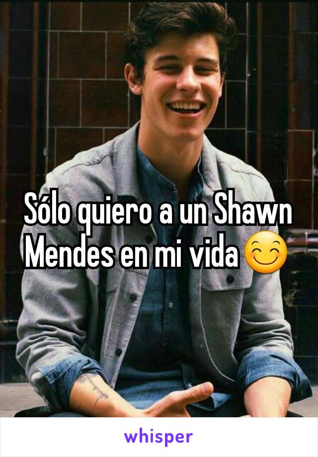 Sólo quiero a un Shawn Mendes en mi vida😊