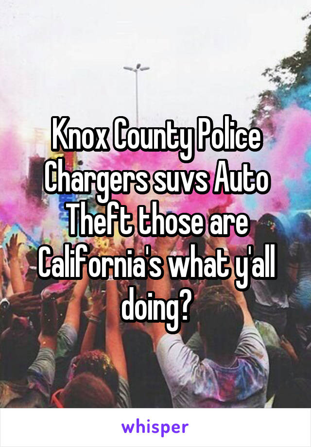 Knox County Police Chargers suvs Auto Theft those are California's what y'all doing?