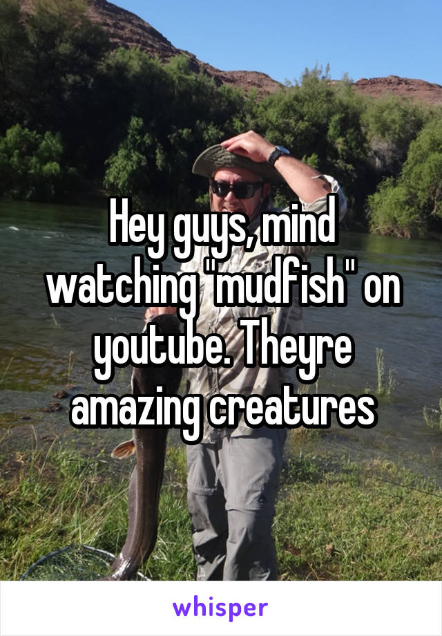 Hey guys, mind watching "mudfish" on youtube. Theyre amazing creatures