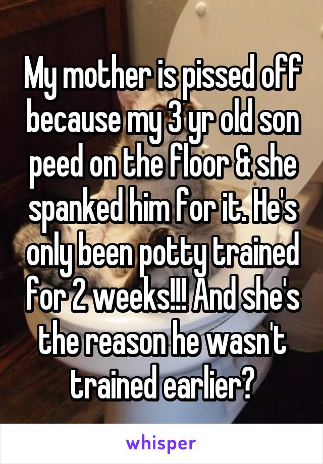 My mother is pissed off because my 3 yr old son peed on the floor & she spanked him for it. He's only been potty trained for 2 weeks!!! And she's the reason he wasn't trained earlier😡