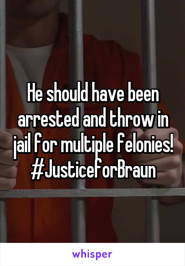 He should have been arrested and throw in jail for multiple felonies! #JusticeforBraun