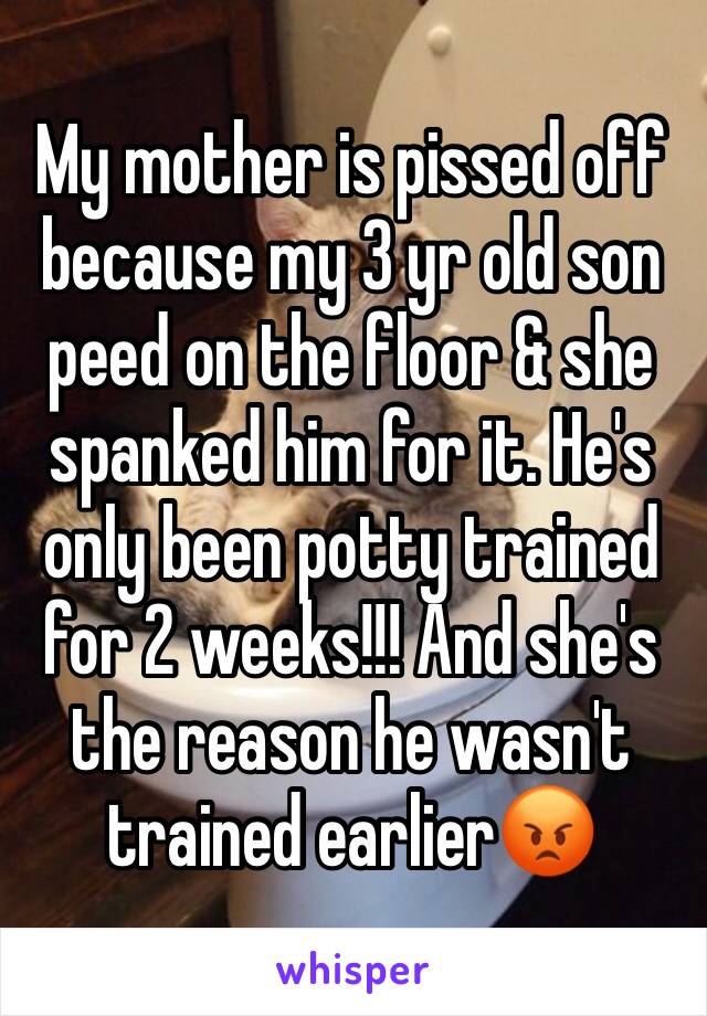 My mother is pissed off because my 3 yr old son peed on the floor & she spanked him for it. He's only been potty trained for 2 weeks!!! And she's the reason he wasn't trained earlier😡