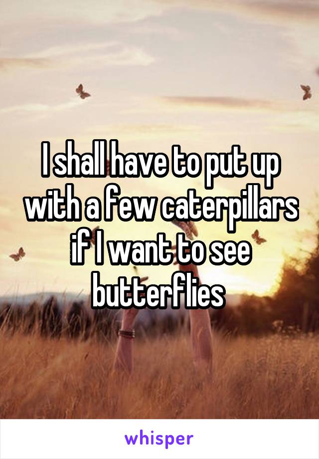 I shall have to put up with a few caterpillars if I want to see butterflies 