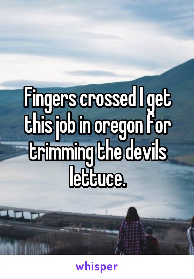 Fingers crossed I get this job in oregon for trimming the devils lettuce.