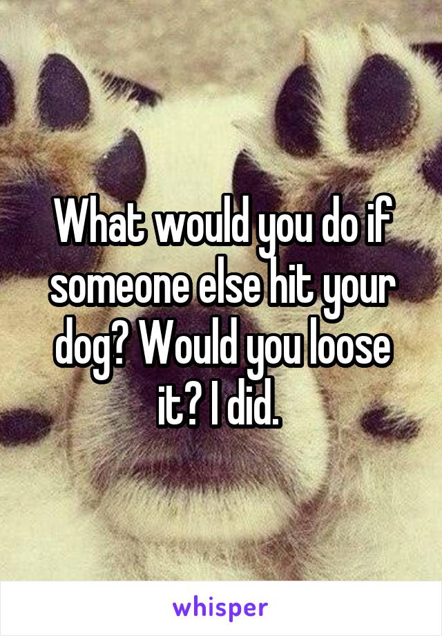 What would you do if someone else hit your dog? Would you loose it? I did. 