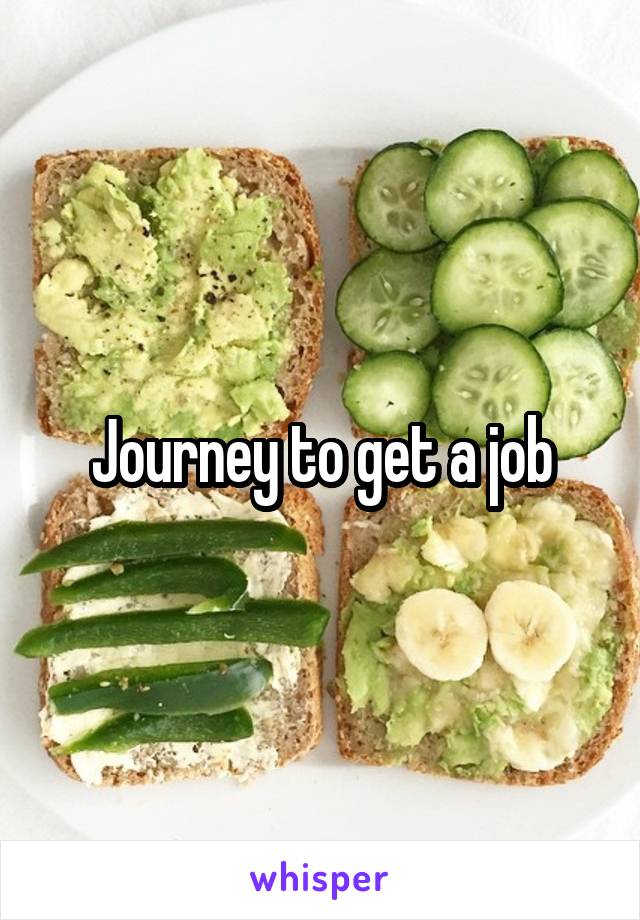 Journey to get a job