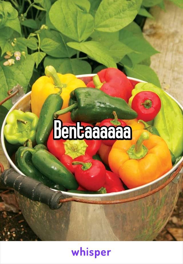 Bentaaaaaa