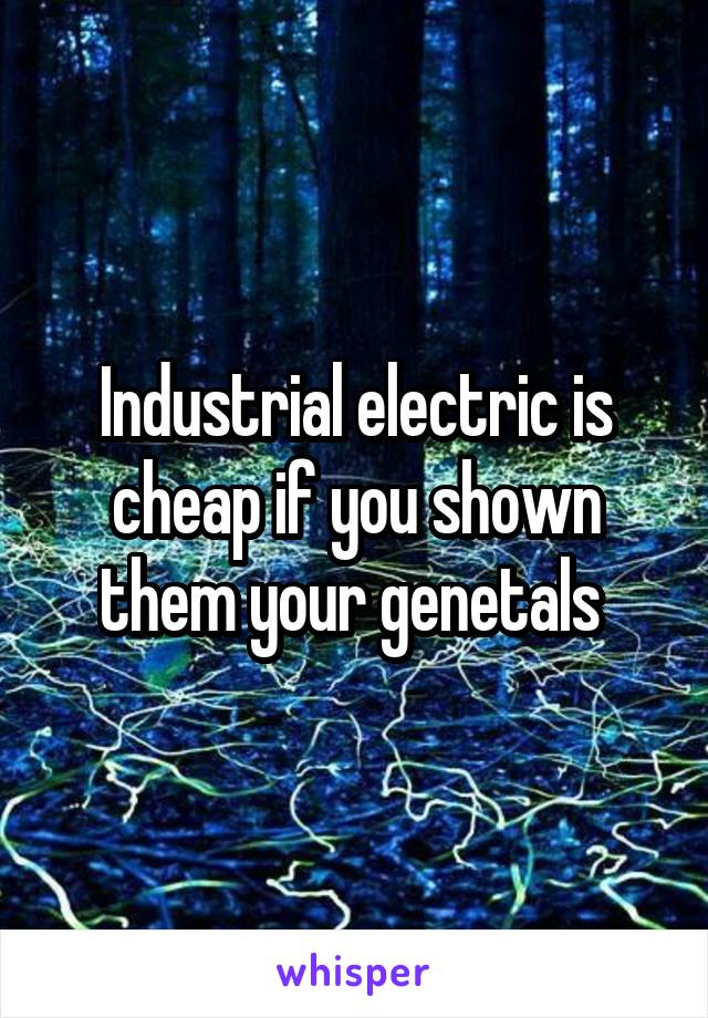 Industrial electric is cheap if you shown them your genetals 