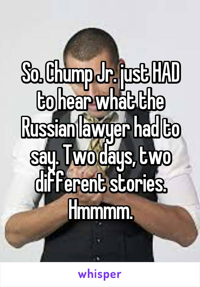 So. Chump Jr. just HAD to hear what the Russian lawyer had to say. Two days, two different stories. Hmmmm.