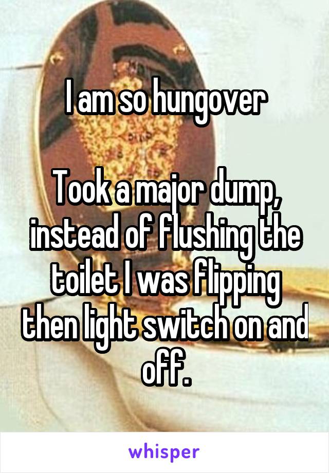 I am so hungover

Took a major dump, instead of flushing the toilet I was flipping then light switch on and off.