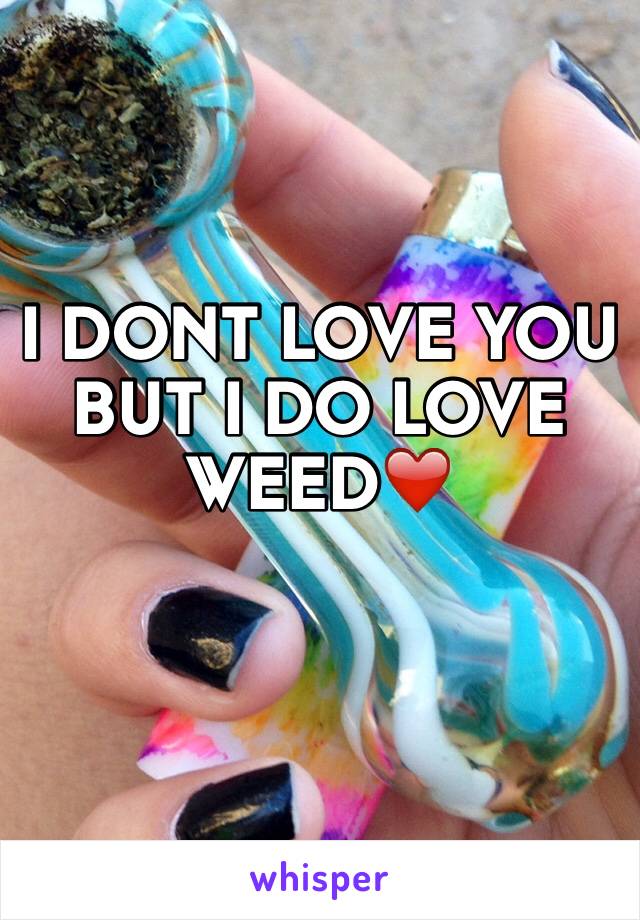 I DONT LOVE YOU BUT I DO LOVE WEED❤️