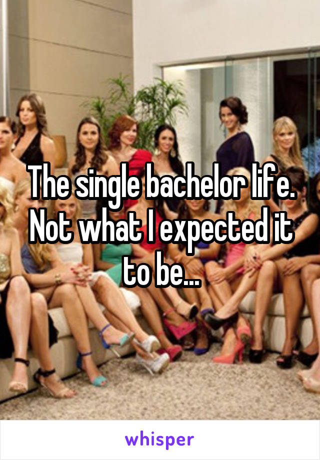 The single bachelor life.
Not what I expected it to be...