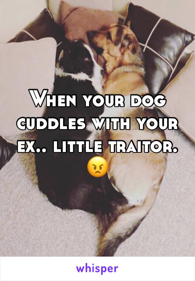 When your dog cuddles with your ex.. little traitor. 😠