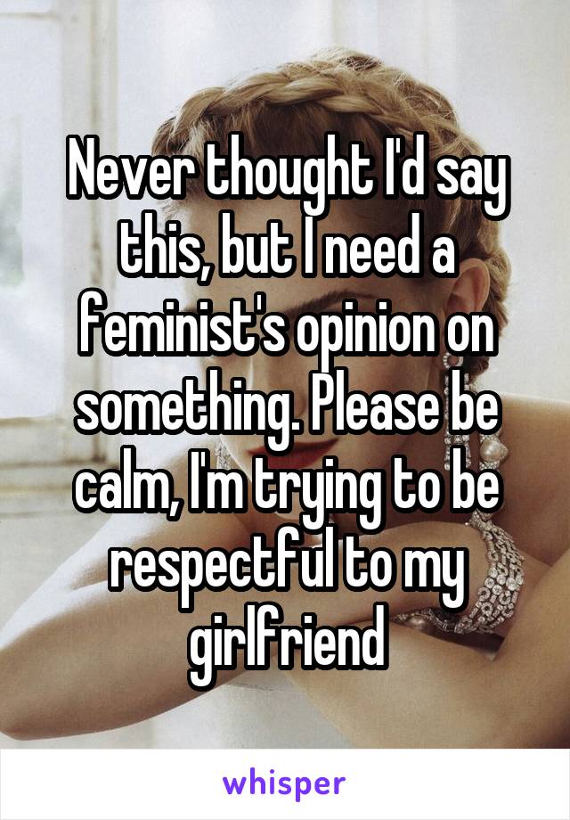 Never thought I'd say this, but I need a feminist's opinion on something. Please be calm, I'm trying to be respectful to my girlfriend