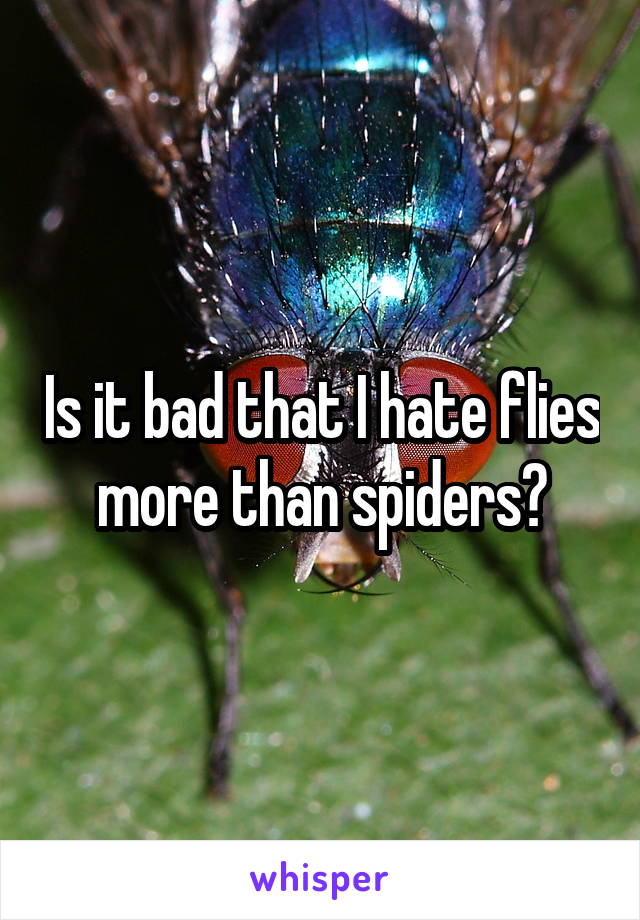 Is it bad that I hate flies more than spiders?