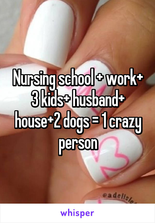 Nursing school + work+ 3 kids+ husband+ house+2 dogs = 1 crazy person