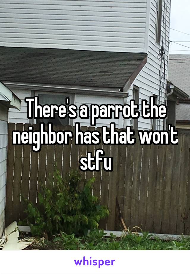 There's a parrot the neighbor has that won't stfu