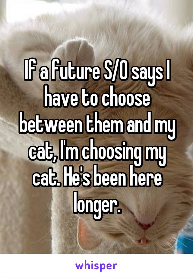 If a future S/O says I have to choose between them and my cat, I'm choosing my cat. He's been here longer.