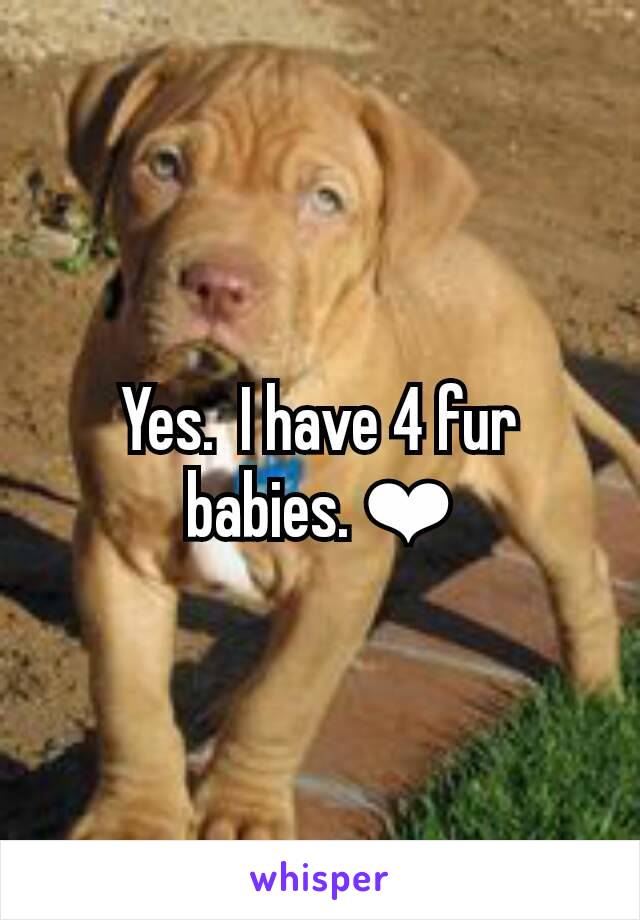 Yes.  I have 4 fur babies. ❤