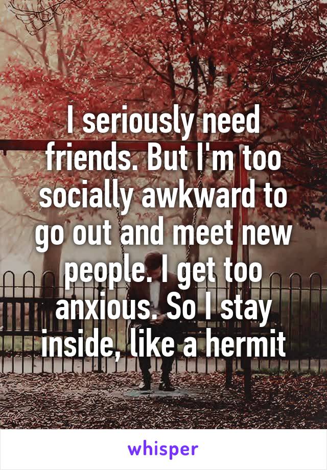 I seriously need friends. But I'm too socially awkward to go out and meet new people. I get too anxious. So I stay inside, like a hermit