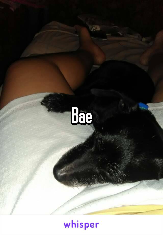 Bae