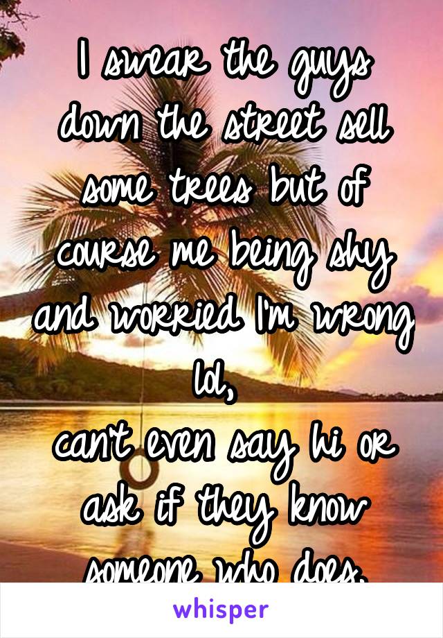 I swear the guys down the street sell some trees but of course me being shy and worried I'm wrong lol, 
can't even say hi or ask if they know someone who does.