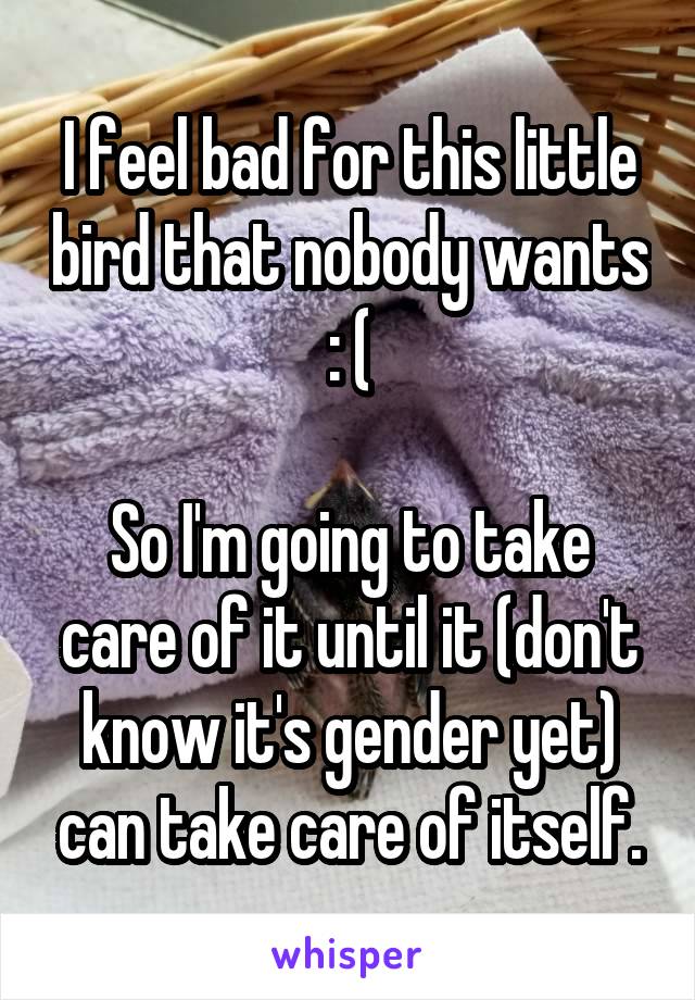 I feel bad for this little bird that nobody wants : (

So I'm going to take care of it until it (don't know it's gender yet) can take care of itself.