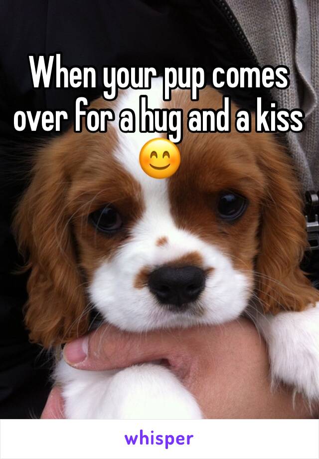 When your pup comes over for a hug and a kiss 😊