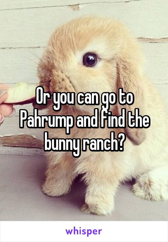 Or you can go to Pahrump and find the bunny ranch?