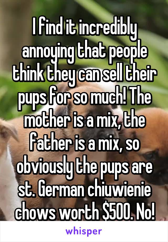 I find it incredibly annoying that people think they can sell their pups for so much! The mother is a mix, the father is a mix, so obviously the pups are st. German chiuwienie chows worth $500. No!