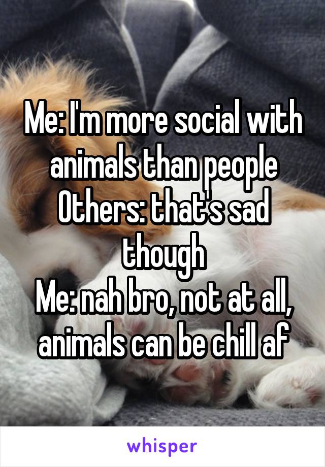 Me: I'm more social with animals than people
Others: that's sad though
Me: nah bro, not at all, animals can be chill af