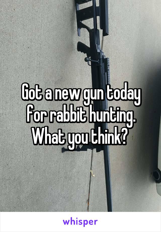 Got a new gun today for rabbit hunting. What you think? 