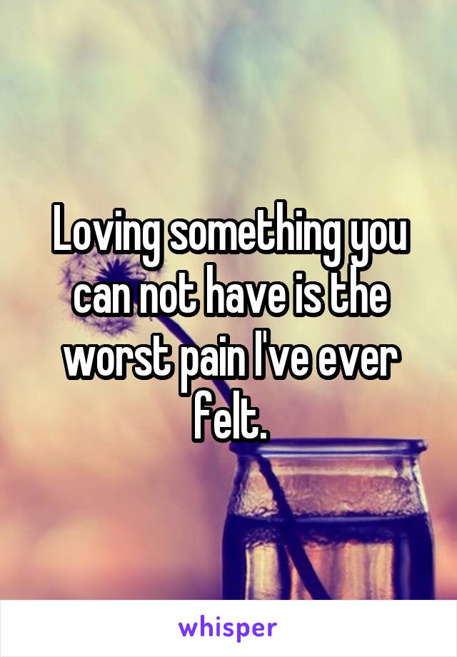 Loving something you can not have is the worst pain I've ever felt.