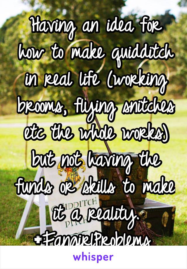 Having an idea for how to make quidditch in real life (working brooms, flying snitches etc the whole works) but not having the funds or skills to make it a reality.
#FangirlProblems 