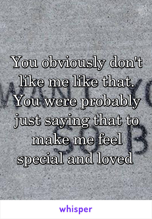 You obviously don't like me like that. You were probably just saying that to make me feel special and loved 