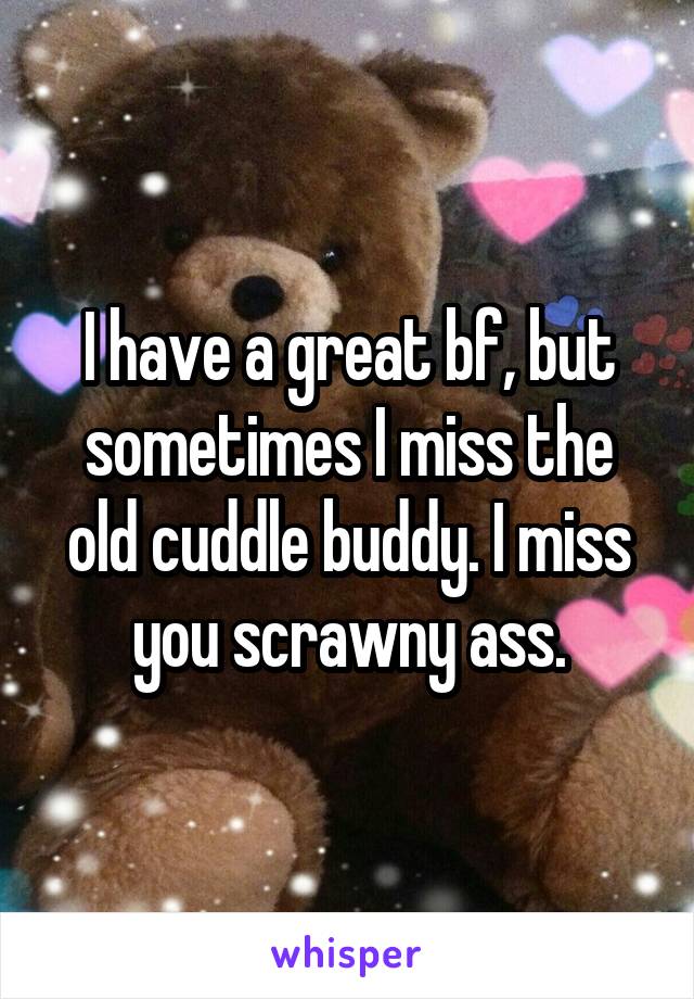 I have a great bf, but sometimes I miss the old cuddle buddy. I miss you scrawny ass.