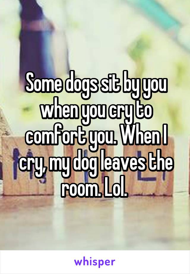 Some dogs sit by you when you cry to comfort you. When I cry, my dog leaves the room. Lol. 