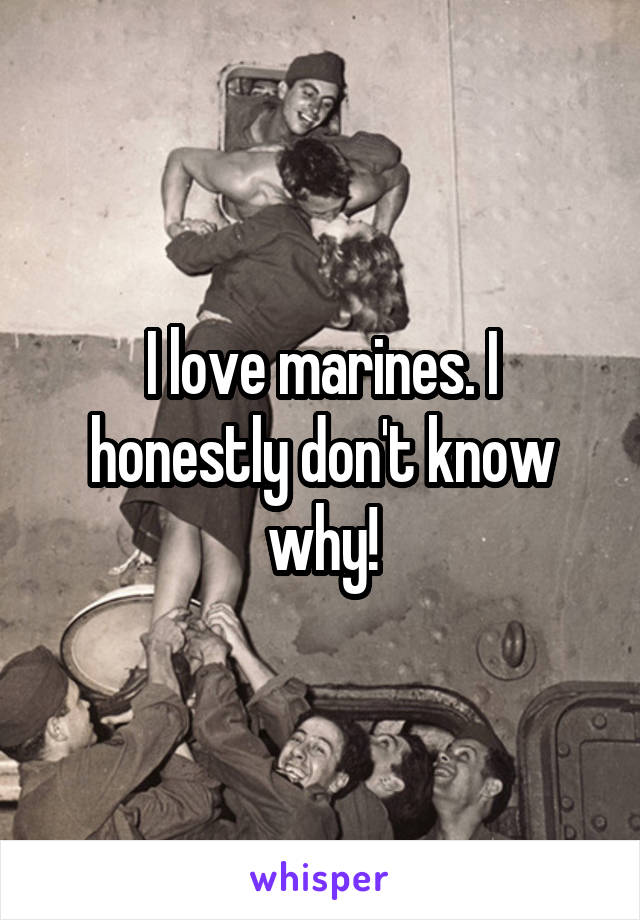 I love marines. I honestly don't know why!