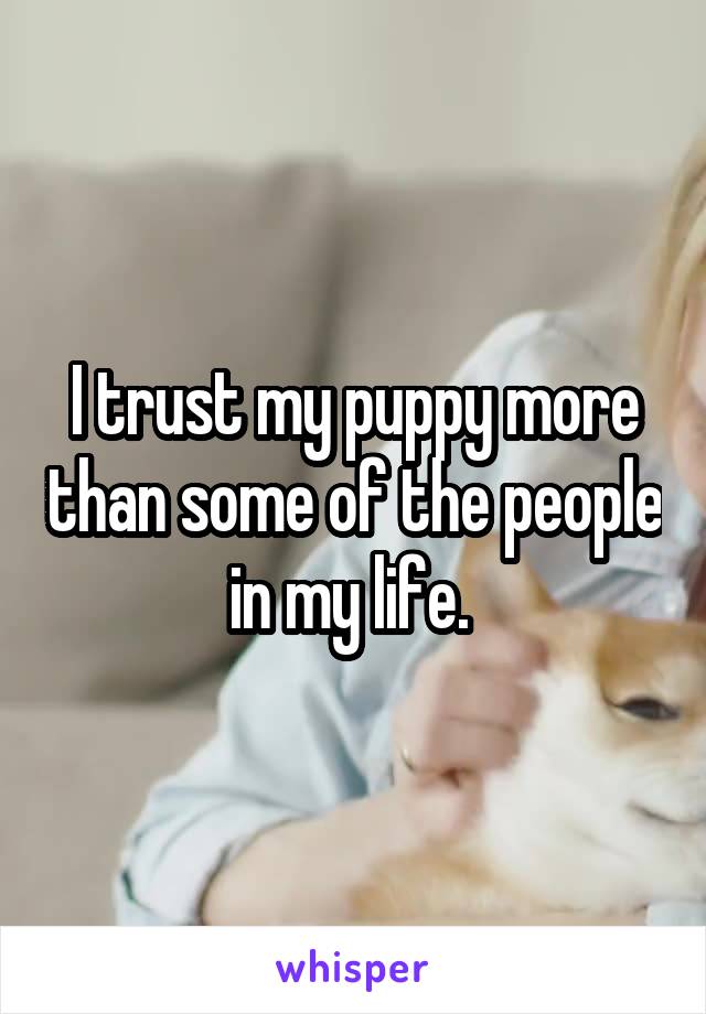 I trust my puppy more than some of the people in my life. 