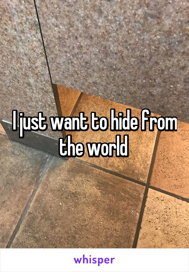 I just want to hide from the world 