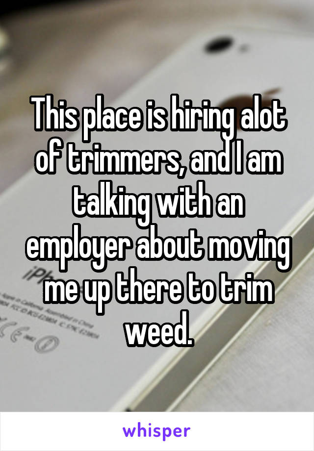 This place is hiring alot of trimmers, and I am talking with an employer about moving me up there to trim weed.