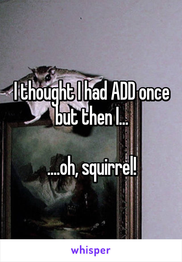 I thought I had ADD once but then I...

....oh, squirrel!