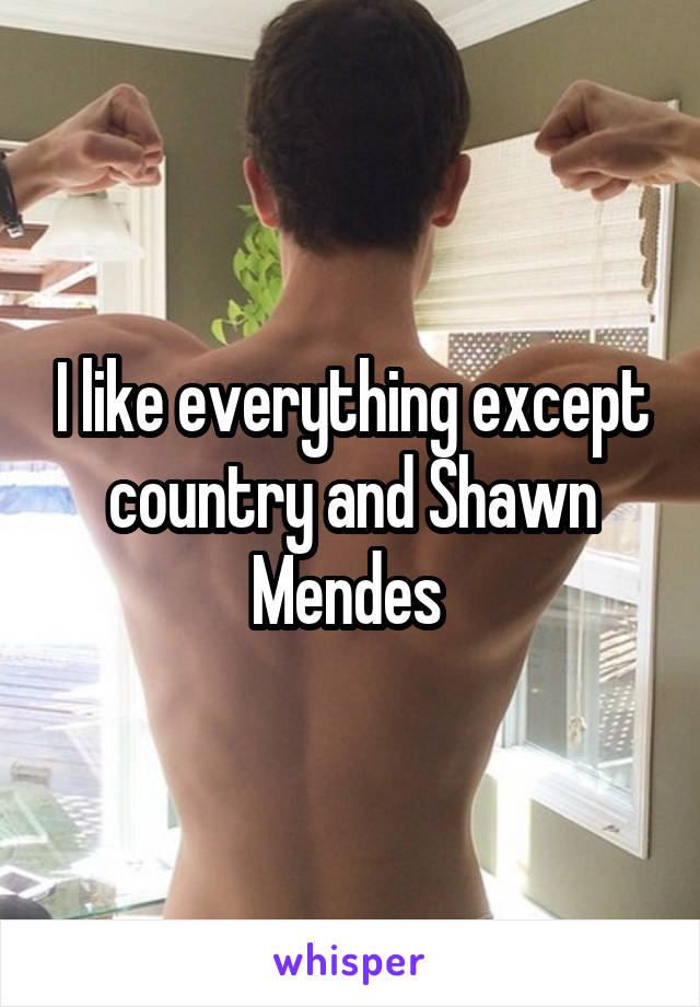 I like everything except country and Shawn Mendes 