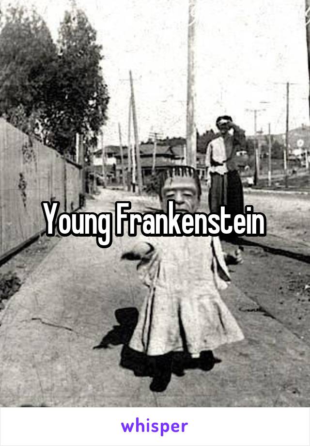 Young Frankenstein 