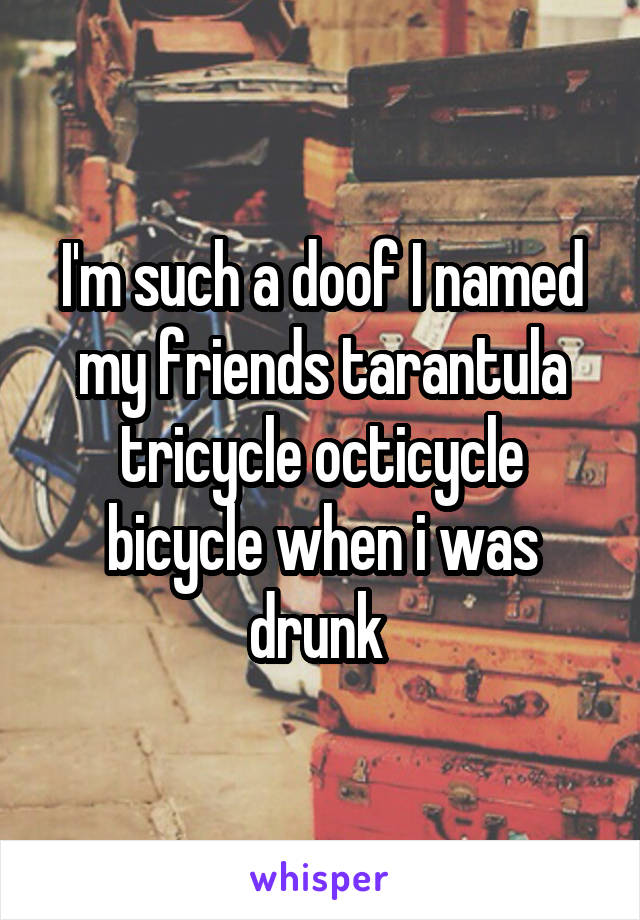 I'm such a doof I named my friends tarantula tricycle octicycle bicycle when i was drunk 