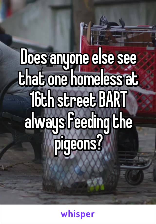 Does anyone else see that one homeless at 16th street BART always feeding the pigeons?
