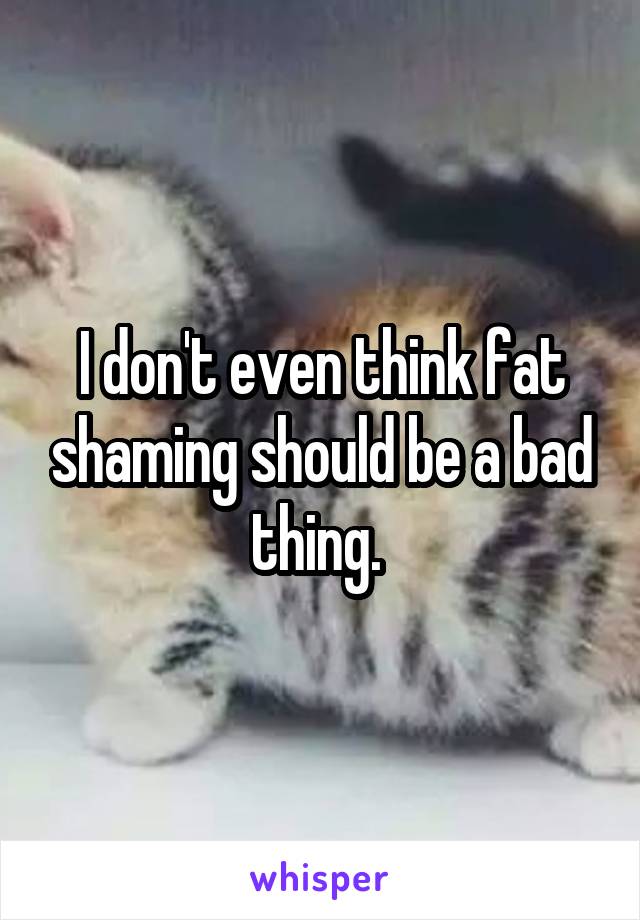 I don't even think fat shaming should be a bad thing. 