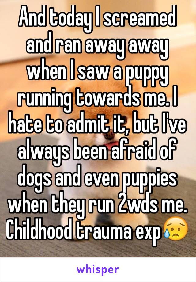 And today I screamed and ran away away when I saw a puppy running towards me. I hate to admit it, but I've always been afraid of dogs and even puppies when they run 2wds me. Childhood trauma exp😥