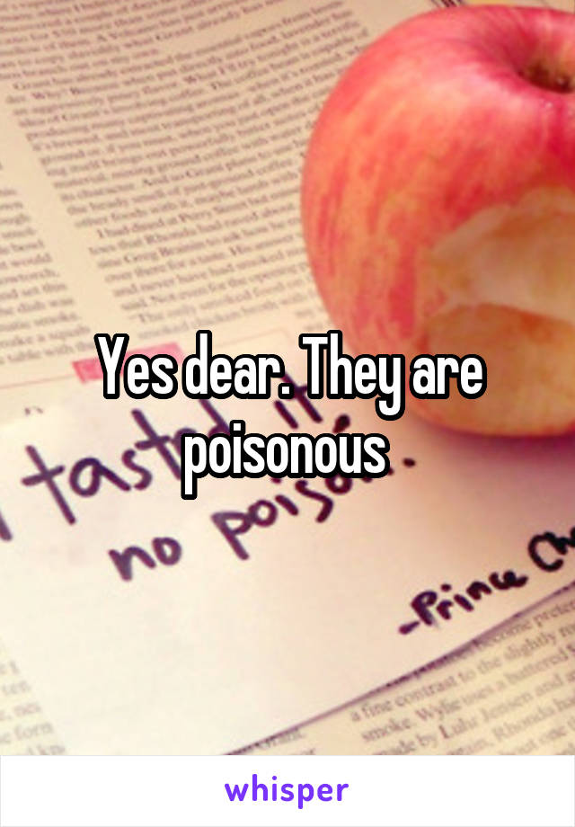 Yes dear. They are poisonous 