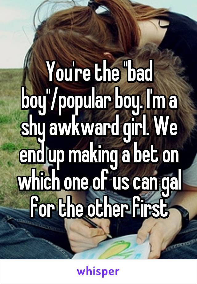 You're the "bad boy"/popular boy. I'm a shy awkward girl. We end up making a bet on which one of us can gal for the other first